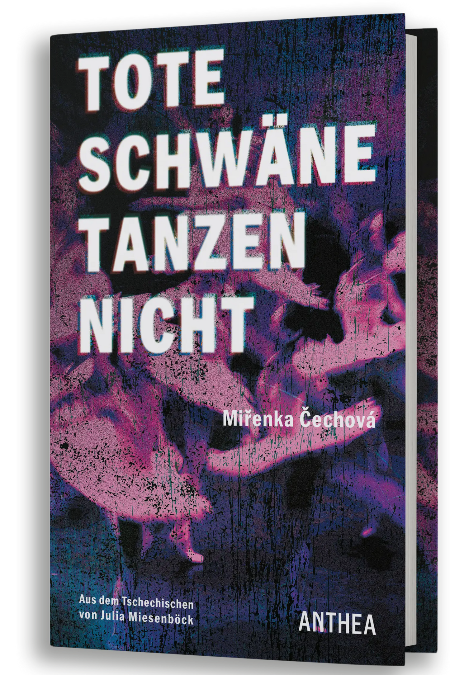 Miřenka Čechová: Tote Schwäne tanzen nicht