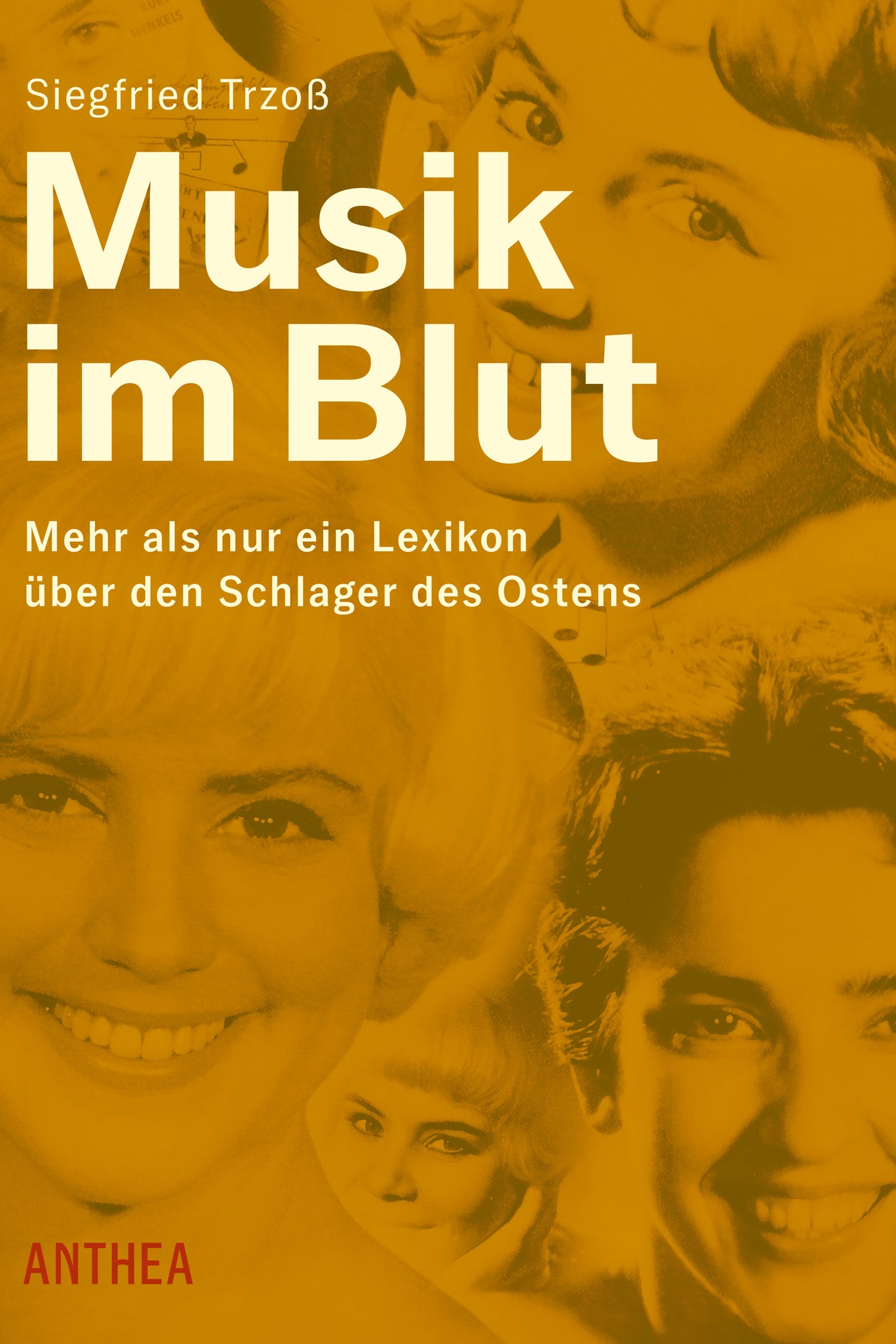 Siegfried Trzoß: Musik im Blut