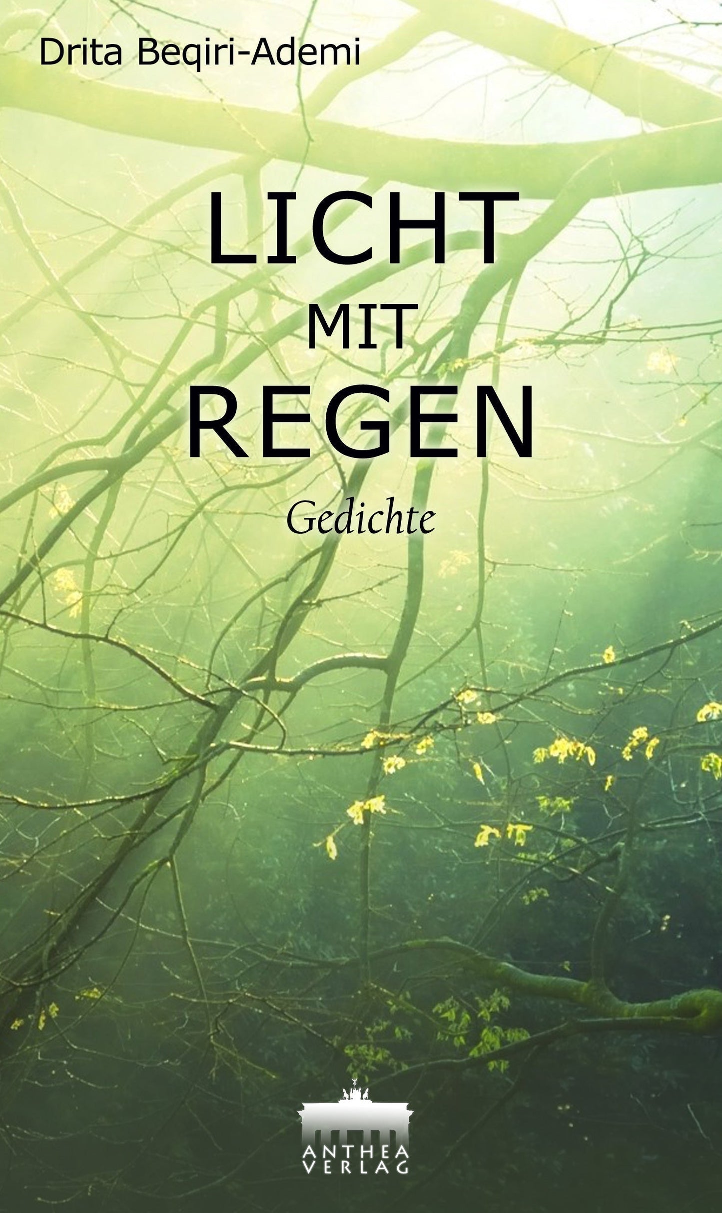 Drita Beqiri-Ademi : LICHT MIT REGEN